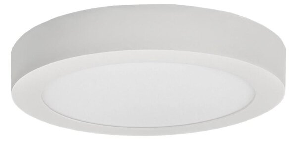 LED Stropné svietidlo FENIX LED/12W/230V 2800K pr. 17 cm