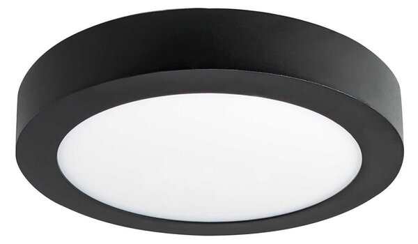 LED Stropné svietidlo FENIX LED/12W/230V 3800K pr. 17 cm