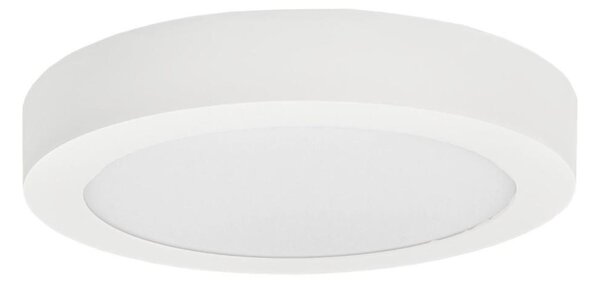 LED Stropné svietidlo FENIX LED/12W/230V 3800K pr. 17 cm snehovo biela