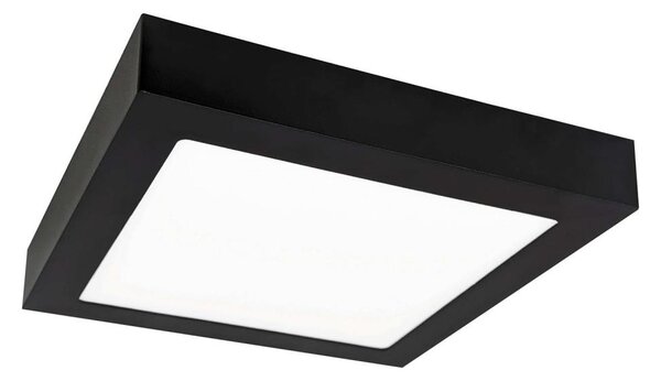 LED Stropné svietidlo FENIX LED/12W/230V 2800K 17 cm