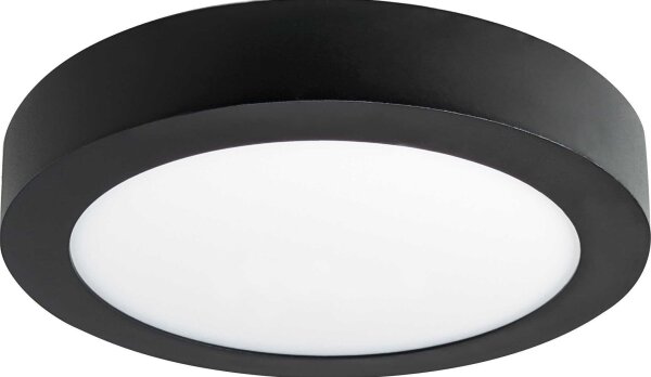 LED Stropné svietidlo FENIX LED/12W/230V 3800K pr. 17 cm