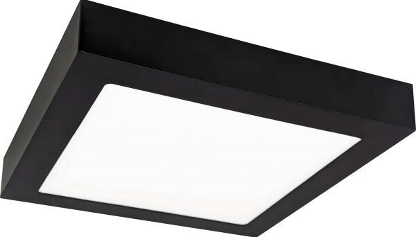 LED Stropné svietidlo FENIX LED/12W/230V 2800K 17 cm