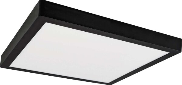 LED Stropné svietidlo FENIX LED/32W/230V 3800K 40 cm