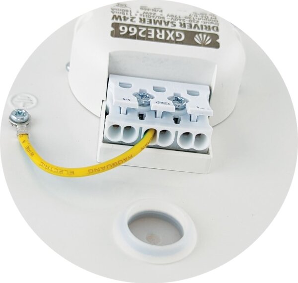 LED Stropné svietidlo SAMER LED/24W/230V 4000K