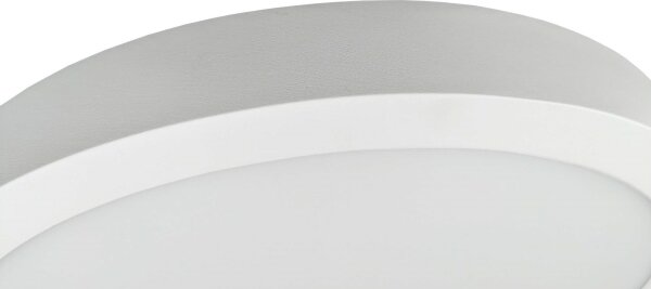 LED Stropné svietidlo FENIX LED/32W/230V 3800K pr. 40 cm snehovo biela