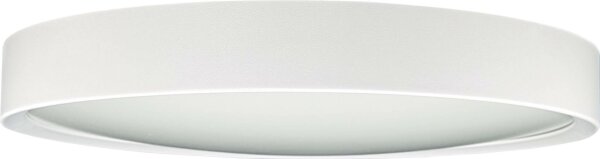 LED Stropné svietidlo SAMER LED/24W/230V 4000K