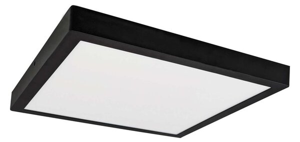 LED Stropné svietidlo FENIX LED/32W/230V 3800K 40 cm