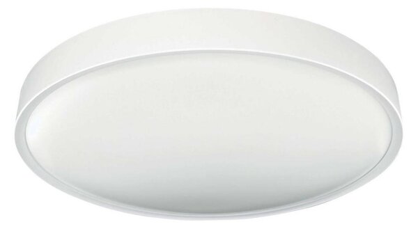 LED Stropné svietidlo SAMER LED/24W/230V 4000K