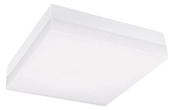 LED Kúpeľňové stropné svietidlo LED/12W/230V 3000/4000/6000K 22x22 cm IP44