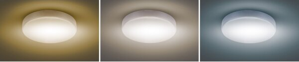 Solight WO799 - LED Stmievateľné stropné svietidlo LED/50W/230V 3000-6000K + DO