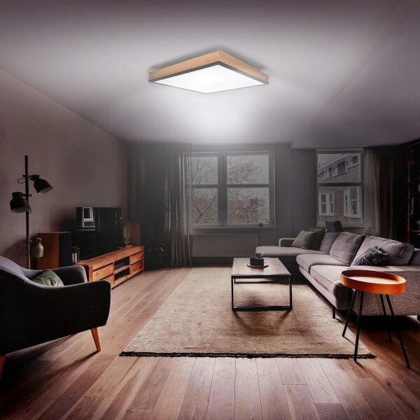 Solight WO802 - LED Stmievateľné stropné svietidlo LED/40W/230V 3000-6500K + DO