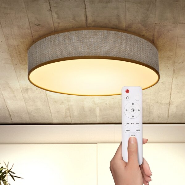 Brilagi - LED Stmievateľné stropné svietidlo CARMEN LED/48W/230V 3000-6500K + DO