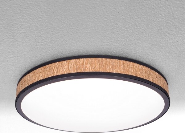 Brilagi - LED Stmievateľné stropné svietidlo ROSA LED/48W/230V 3000-6500K + DO