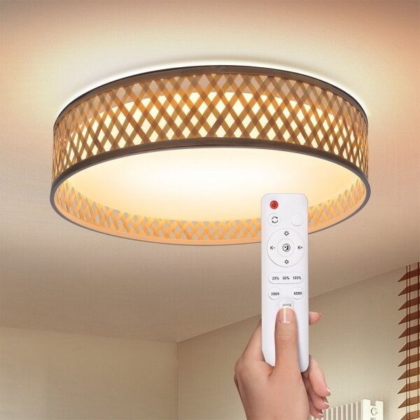 Brilagi - LED Stmievateľné stropné svietidlo CAMILA LED/48W/230V 3000-6500K + DO