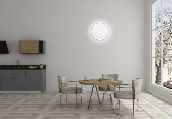 LED Stmievateľné stropné svietidlo LED/24W/230V + DO okrúhly 2700K-6500K