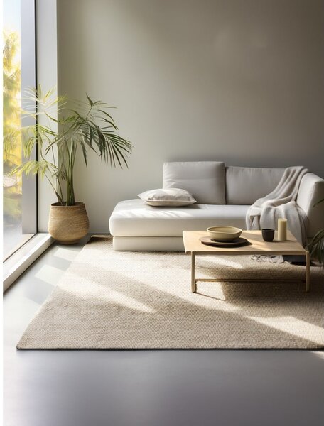 Krémovobiely jutový koberec 120x170 cm Bouclé – Hanse Home