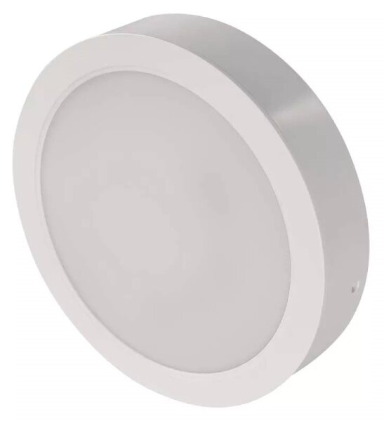 LED Stropné svietidlo LED/24W/230V pr. 22 cm biela