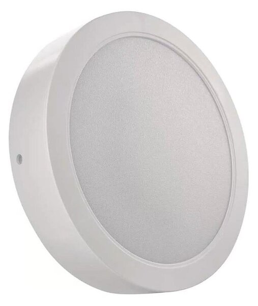 LED Stropné svietidlo LED/24W/230V pr. 22 cm biela