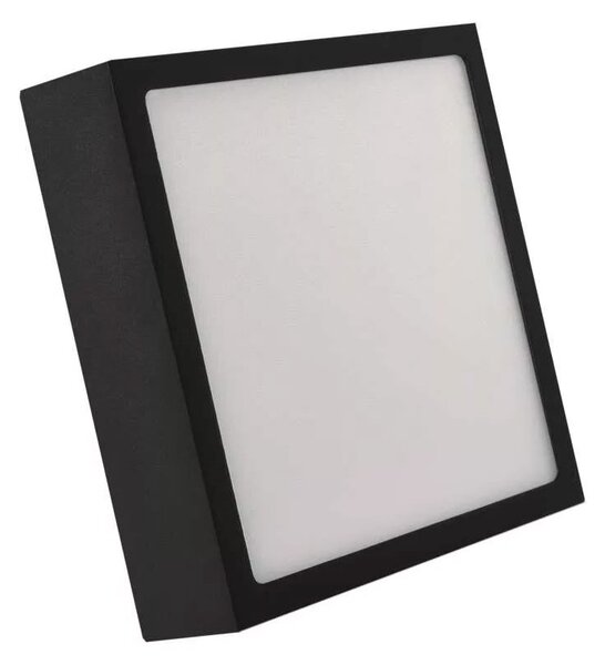 LED Stropné svietidlo LED/12,5W/230V 3000/3500/4000K 17x17 cm čierna