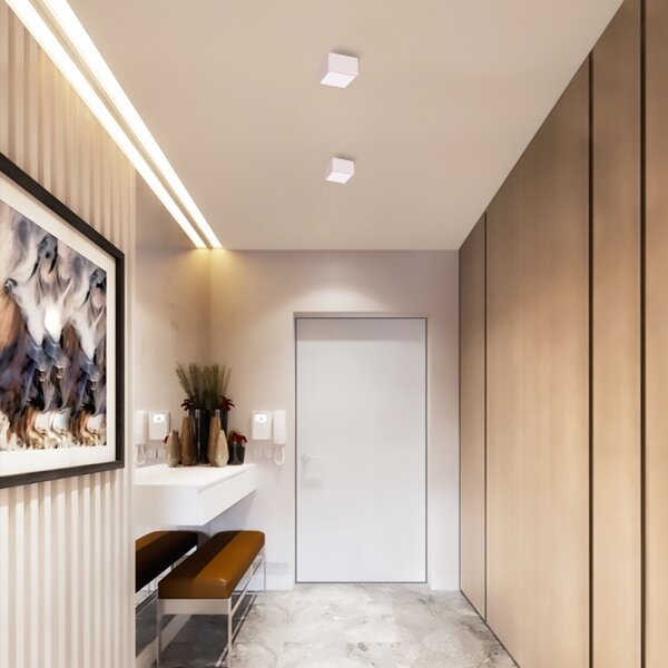 Immax NEO 07072L-15 - LED Stmievateľné svietidlo CANTO LED/12W/230V biela