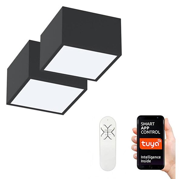 Immax Neo 07074L-15BD-Sada 2x LED Stmievateľné svietidlo CANTO 2xLED/12W/230V + DO