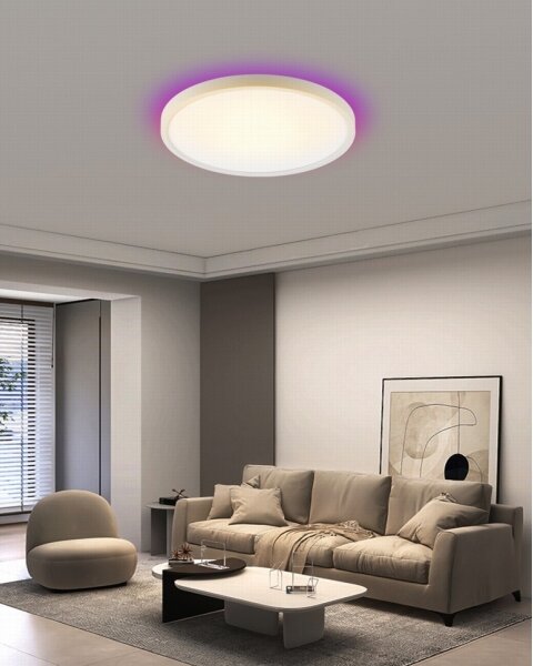 Immax NEO 07169-W60 - LED RGB Stmievateľné svietidlo TUDO 65W/230V Wi-Fi Tuya + DO