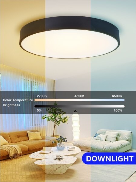 Immax NEO 07203L-LED Stmievateľné stropné svietidlo RONDATE 65W/230V Tuya černá+DO