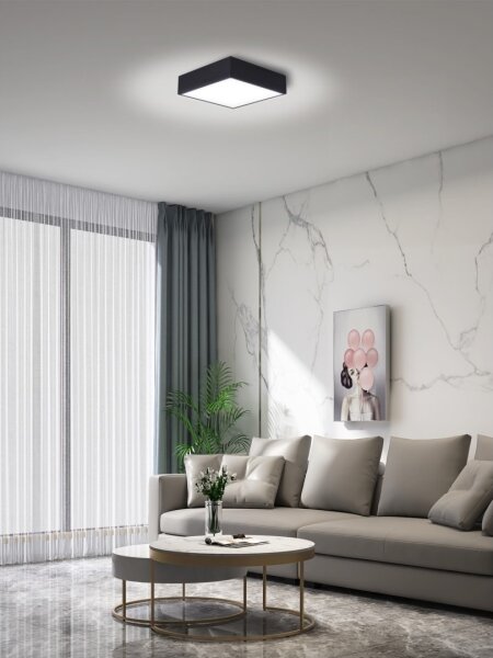 Immax NEO 07237L - LED Stmievateľné stropné svietidlo CANTO 22W/230V čierna Tuya+DO