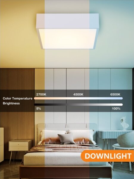 Immax NEO 07238L - LED Stmievateľné stropné svietidlo CANTO 22W/230V biela Tuya +DO