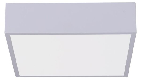 Immax NEO 07238L - LED Stmievateľné stropné svietidlo CANTO 22W/230V biela Tuya +DO