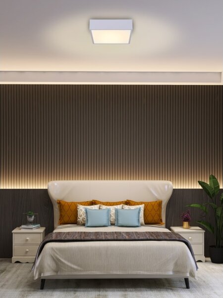 Immax NEO 07238L - LED Stmievateľné stropné svietidlo CANTO 22W/230V biela Tuya +DO