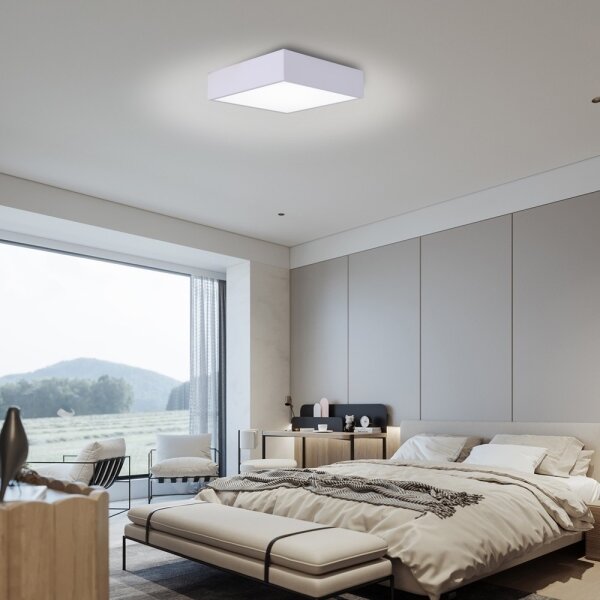 Immax NEO 07238L - LED Stmievateľné stropné svietidlo CANTO 22W/230V biela Tuya +DO