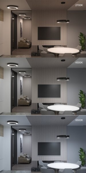 Immax NEO 7133 - LED SMART Stmievateľné svietidlo CÉČKO LED/52W/230V + DO 60 cm