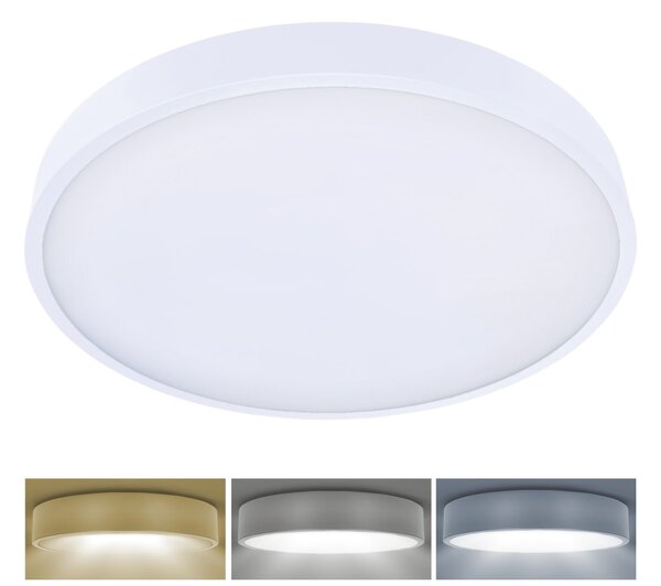 Brilagi-LED Stmievateľné svietidlo POOL SMART LED/60W/230V 3000-6000 50 cm+DO biela