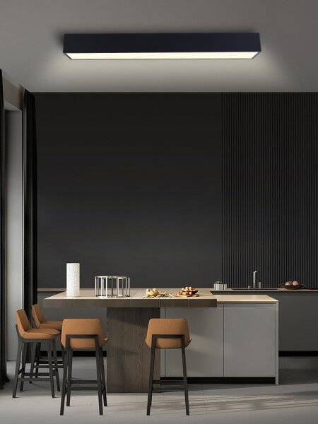 Immax NEO 07074-90-LED Stmievateľné stropné svietidlo CANTO 50W/230V čierna Tuya+DO