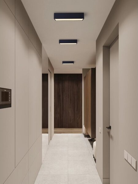 Immax NEO 07074-60-LED Stmievateľné stropné svietidlo CANTO 34W/230V čierna Tuya+DO