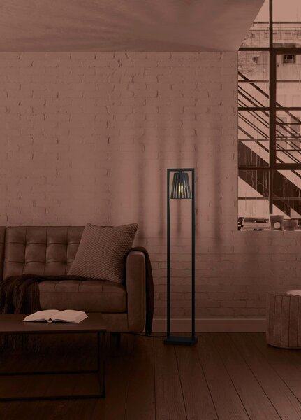 STOJACIA LAMPA, 22/136 cm Eglo - Online Only bytové doplnky, Online Only