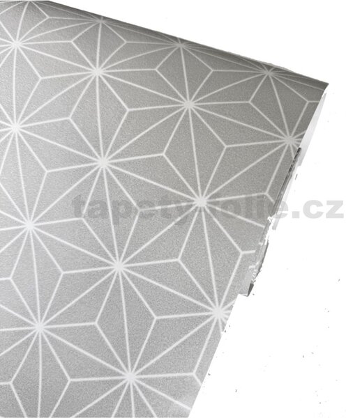 Vliesové tapety na stenu L48019, rozmer 10,05 m x 0,53 m, drobný geometrický vzor biely na sivom podklade, Ugépa
