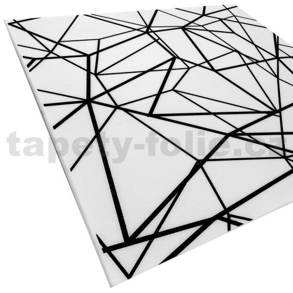 3D panel 0066, rozmer 50 cm x 50 cm, CRYSTAL čierno-biely, IMPOL TRADE