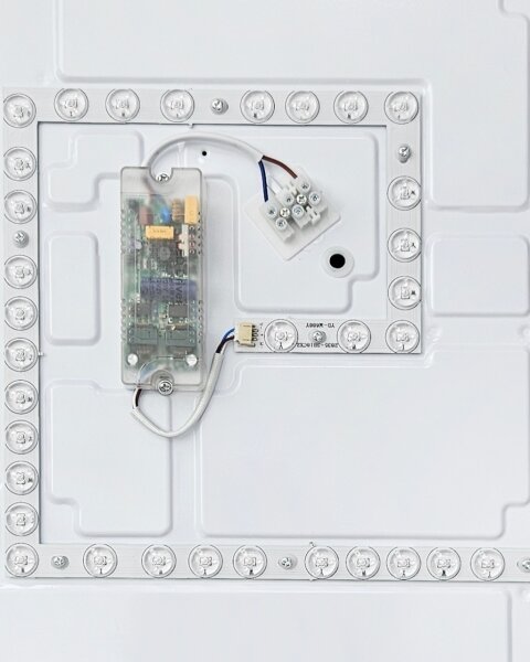 LED Stmievateľné stropné svietidlo FLORA LED/60W/230V 2700-6500K + diaľkové ovládanie
