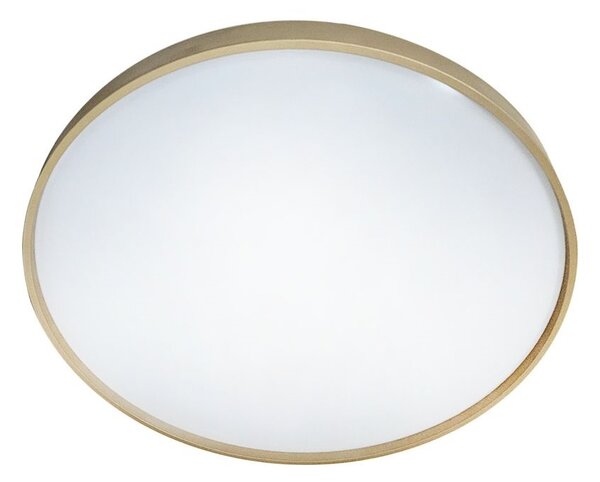 LED Stmievateľné stropné svietidlo DRINA LED/36W/230V 2700-6500K +dálkové ovládanie
