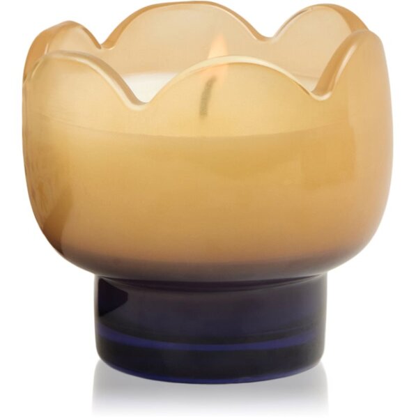 Paddywax Tulip Garden & Grove vonná sviečka 155 g