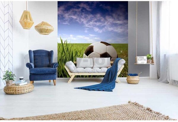 Vliesové fototapety, rozměr 225 cm x 250 cm, fotbalový míč, DIMEX MS-3-0305
