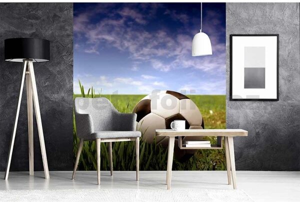 Vliesové fototapety, rozměr 225 cm x 250 cm, fotbalový míč, DIMEX MS-3-0305
