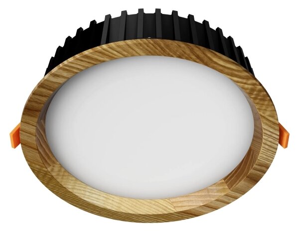 APLED - LED Podhľadové RONDO WOODLINE LED/6W/230V 4000K pr. 15 cm jaseň masív