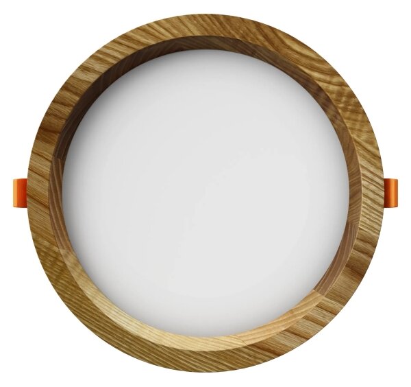 APLED - LED Podhľadové RONDO WOODLINE LED/6W/230V 4000K pr. 15 cm jaseň masív