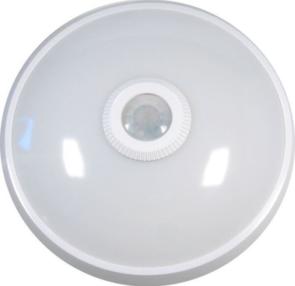 LED stropné svietidlo so senzorom LED/12W/230V