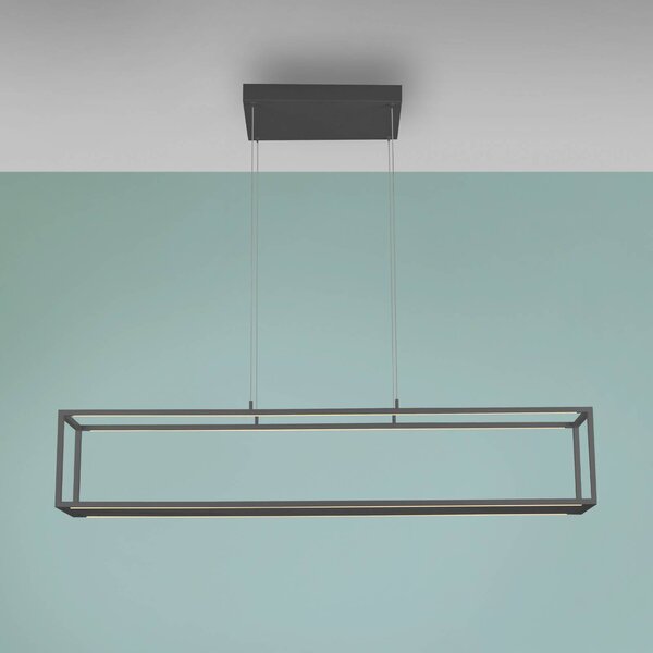 Paul Neuhaus LED závesné svietidlo Conni, čierna, 130 cm,, Čierna, Obývacia izba / jedáleň, Hliník, Moderný, Závesné svietidlo
