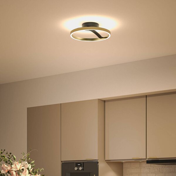 Paulmann Stropné LED svetlo Melira, čierne/zlaté, Ø 38 cm, kovové, Čierna, Obývacia izba / jedáleň, kov, Moderný, Stropné svetlo polkruhové s priestorom