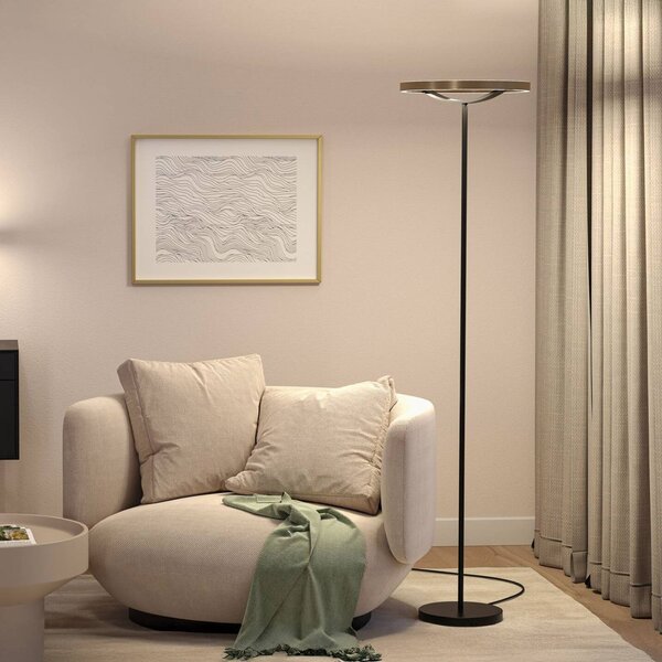 Paulmann LED stojacia lampa Melira, čierna/zlatá, výška 157 cm, Čierna, Obývacia izba / jedáleň, kov, Moderný